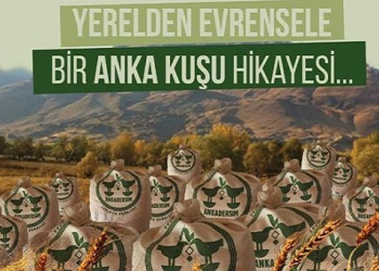 Anka Dersim Ekolojik Ürünleri projesi yangınlaştırılmalıdır.
