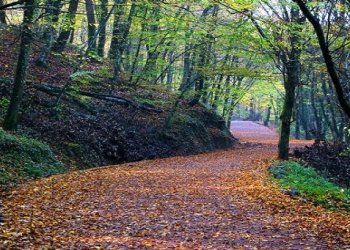 İstanbul Eyüp Piknik ve Mesire Alanları