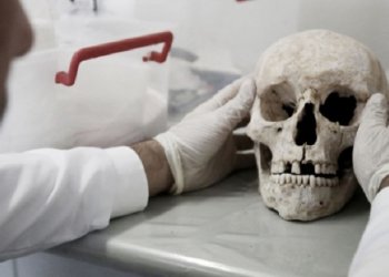 Merak uyandıran açıklama: Kafatasında yeni bir organ bulundu