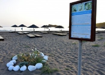 Çiçek açan bu zambaklarını koparmanın cezası 73 bin lira