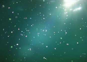 Okyanusların tabanında milyonlarca atık bekliyor