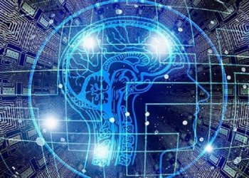 Zeka insan nöronları arasında bağlantıyı azaltıyor